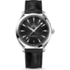 Omega Seamaster 220.13.41.21.01.001 Aqua Terra 41MM