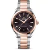 AQUA TERRA 220.20.41.21.06.001 CO‑AXIAL MASTER 41