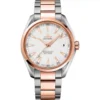 Omega Seamaster 231.20.42.21.02.001 Aqua Terra 41.5