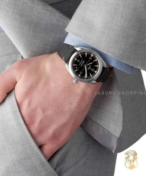 Omega Railmaster 220.12.40.20.01.001 Co‑Axial Master 40