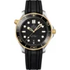 Omega Seamaster 210.22.42.20.01.001 Diver 300m Watch 42