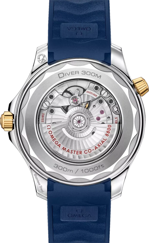Omega Seamaster 210.22.42.20.03.001 Master Diver 300m 42