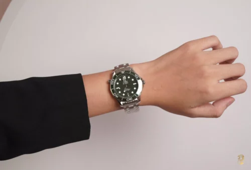 Omega Seamaster 210.30.42.20.10.001 Diver 300m 42mm