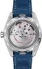 Omega Seamaster 220.12.43.22.03.001 Worldtimer 43