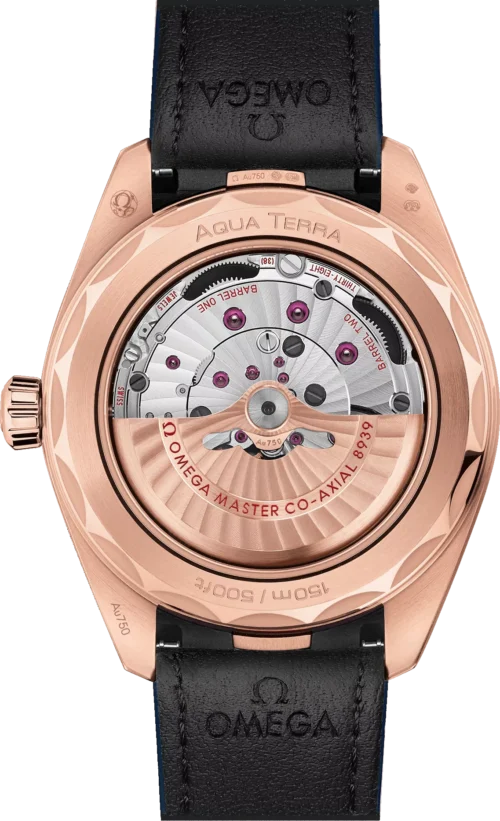 Omega Seamaster 220.53.43.22.02.001 Worldtimer 43
