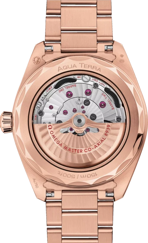 Omega Seamaster Worldtimer 43mm