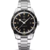 Omega Seamaster 300 234.30.41.21.01.001 Watch 41mm