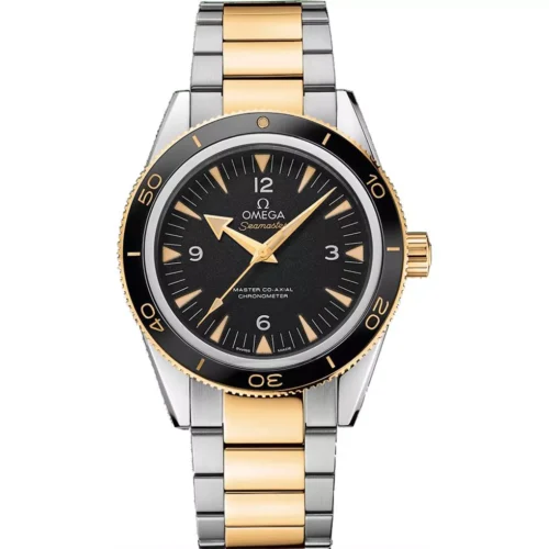 Omega Seamaster 300 233.20.41.21.01.002 Master 41