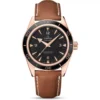 Omega Seamaster 300 233.62.41.21.01.002 Master 41