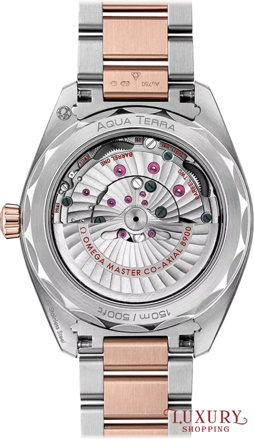 Omega Seamaster220.20.41.21.02.001 Aqua Terra 150m 41mm