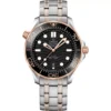 Omega Seamaster 210.20.42.20.01.001 Diver 300M Master 42