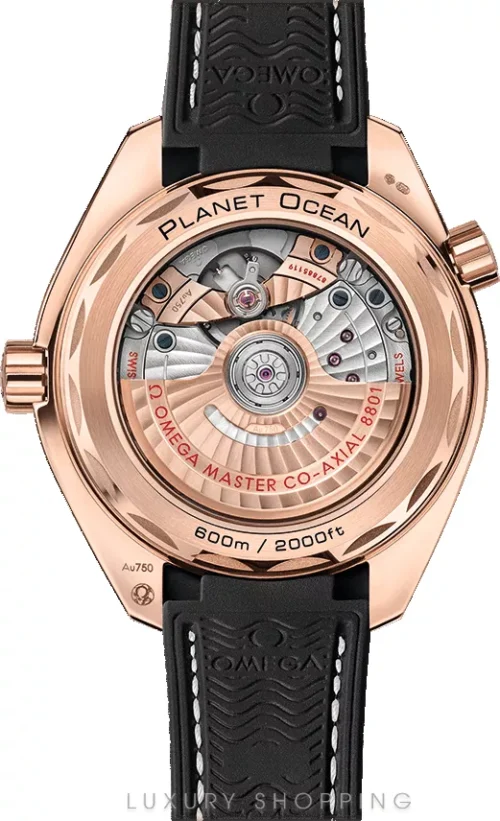 Omega Planet Ocean 600m 215.62.40.20.13.001 Co‑Axial 39.5