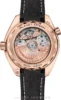 Omega Planet Ocean 600m 215.62.40.20.13.001 Co‑Axial 39.5
