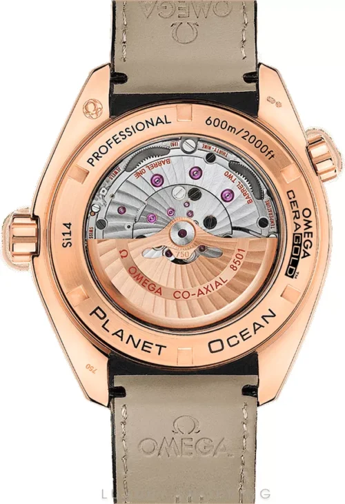 Omega Planet Ocean 600m 232.63.46.21.01.001 Co‑Axial 45.5